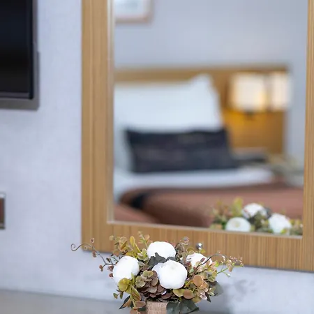 Momento - Special Category 4*